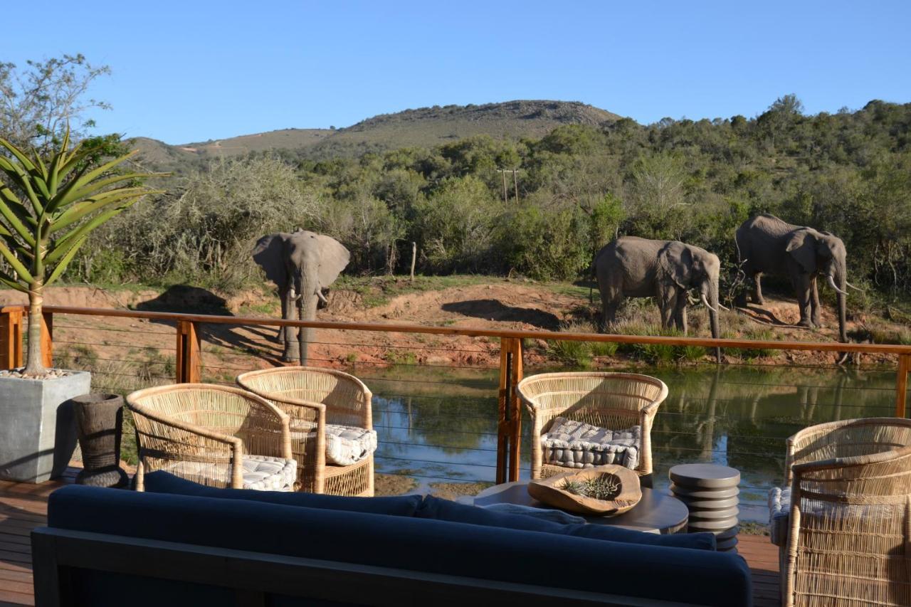 Barefoot Addo Elephant Lodge Exterior foto
